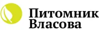 Бересклет Emerald n Gold. Горшок P9